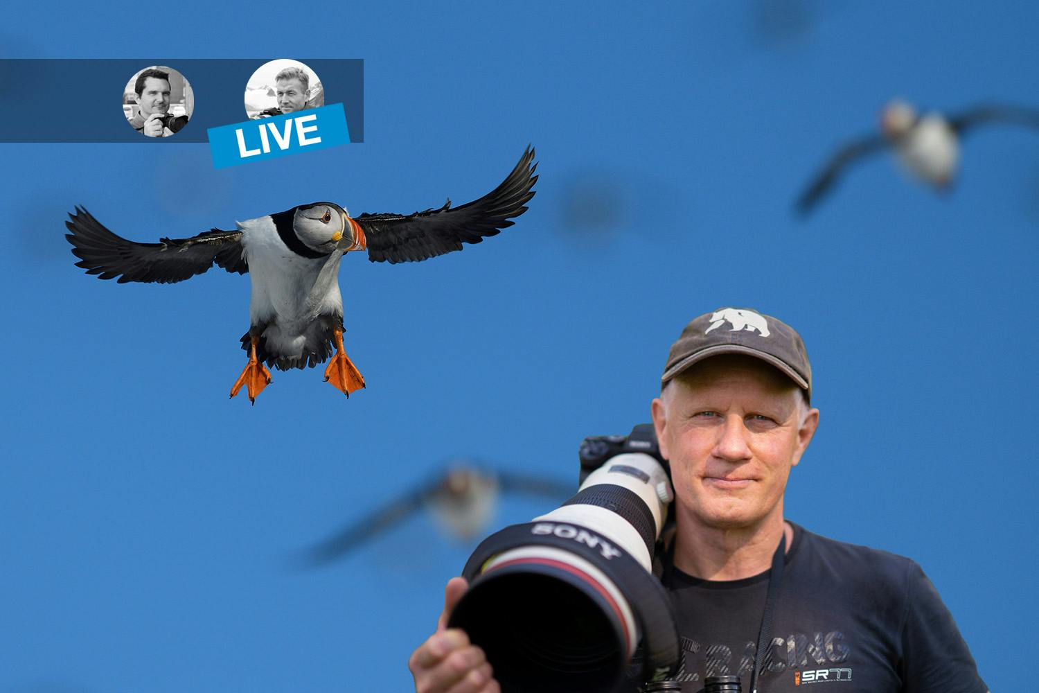 Handsome,Middle,Age,Senior,Man,Wearing,A,Sweater,Over,Isolated